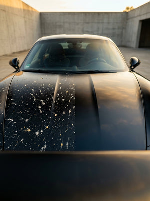 Vorher-Nachher Vergleich einer insektenverschmutzten Motorhaube nach Bug Grime Behandlung