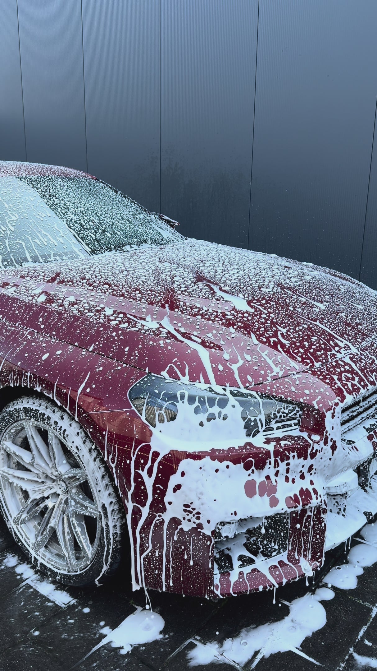 Protector-Wax "Pw" Preservative Wax